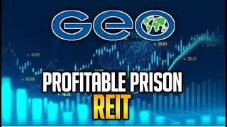 The GEO Group Financial Stock Review: 18% DIVIDEND!!!!!!: $GEO
