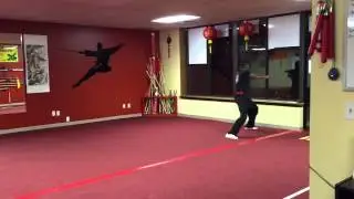 Wushu Snake