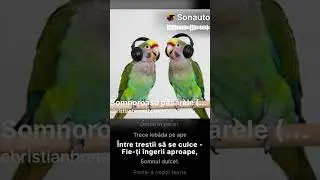 Somnoroase păsărele (mihai eminescu)#music #viral #everyone #electronic trap