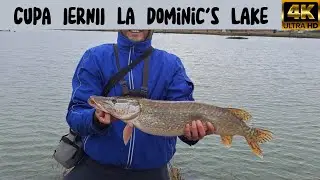🎣Cupa IERNII la STIUCA pe Dominic's LAKE, cu @AlexBucur si Geani Expeditie cu peripetii la SATU MARE