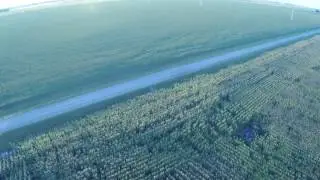 3DR Solo August 10th Flight and Uncontrolled Decent, almost caught it with the rotors.  No damage.
