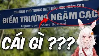 khi bạn tạo ra vấn đề cho giải pháp?
