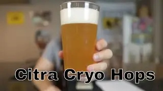 Homebrew SMaSH Golden Promise with Cryo Citra Hops Last Tasting