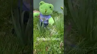 Build a Bear BaB Spring Green Frog Discovers Spring Tiktok
