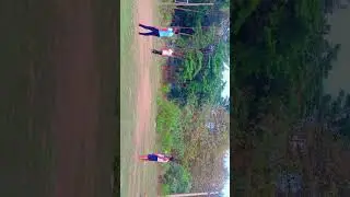 bholi 🏀 ball