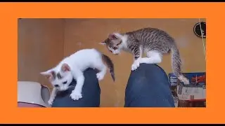 And now for something completely different