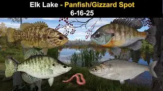 Russian Fishing 4,Elk Lake - Panfish/Gizzard Spot 6-16-25
