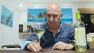 Silk & Spice White blend 2022
