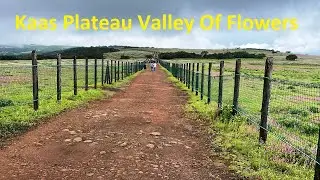 Kaas Plateau Valley Of Flowers Full Tour | World Heritage Site
