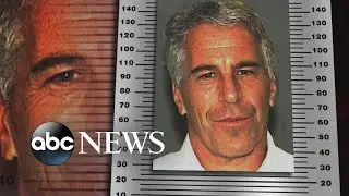 Jeffrey Epstein reportedly on suicide watch in jail