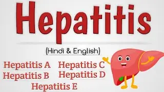 Hepatitis - Hepatitis B, Hepatitis A, Hepatitis (A B C D E)