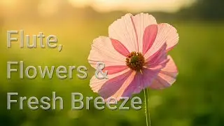🌸 Morning Flute Music in a Blooming Garden | Peaceful Breeze & Nature Flowers for Relaxation