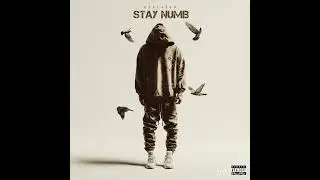 STAY NUMB