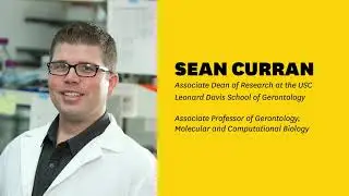 Podcast | Professor Sean Curran: how what we eat impacts how we age