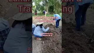 Agricultural Crop Production NC lll #tesdatraining #farming #fieldwork #farmer #agriculture