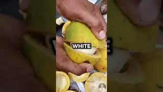 TOP 5 BRAZILIAN FRUITS YOU NEED TO TRY
