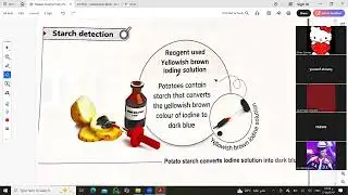 nutritional chemistry