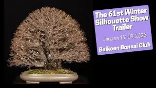 Trailer | 61st Baikoen Bonsai Club Winter Silhouette Show | Jan 17&ndash;18, 2026 | LA Arboretum