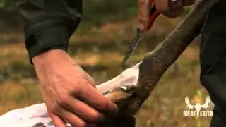 Field Dressing Tips with Steven Rinella - MeatEater