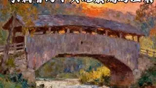 《廊桥遗梦》 罗伯特·詹姆斯·沃勒不是所有爱都要相守，有些爱，只能埋在心底，却能温暖余生每一个黄昏。《廊桥遗梦》的4天爱恋，藏着多少人不敢面对的婚姻真相#文学 #读书 #文学品读 #读书成长...