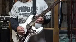 Zen on ZES 300 & PEAVEY 6505 MH Mini Head Japan Edition  004