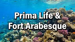House Reef Prima Life and Fort Arabesque, Makadi Bay, Snorkeling