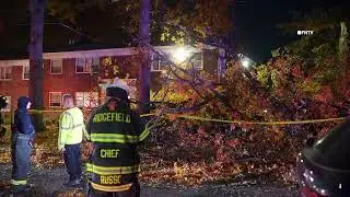 Tree Crashes Through Roof Nearly Striking Child - Ridgefield, NJ
