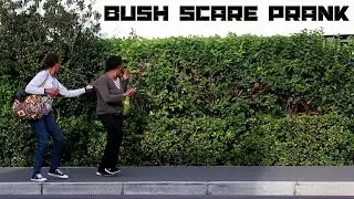 Scaring People In Bush Prank!