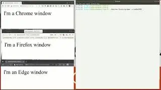 SFDX Plugin - Open Orgs in Different Browsers