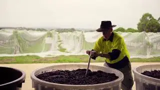 Wine Geelong Snippet 1