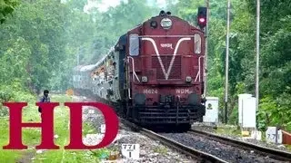 PATRATU WDM3A SCARES AWAY DOG , HAULS VALSAD MUZAFFARPUR SHRAMIK EXPRESS THROUGH BAGRATAWA .