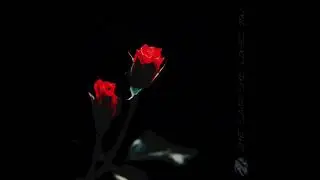 VOID &mdash; She Said She Loves You (Instrumental Demo)