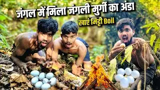 जंगल में मिला जंगली मुर्गी का अंडा खाएं मिट्टी Boil अंडा #sciencewalasankar 