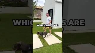 Real kids or fur babies? Which one's are easier? 🤔