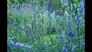 The gardens by Ton ter Linden, Ruinen, The Netherlands, 1990
