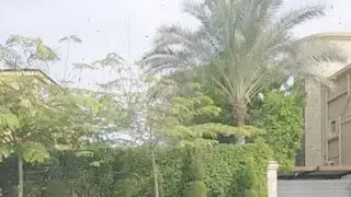 Finally Je Rentre Au Maroc