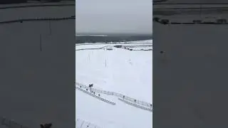 imagine this on a formula 1 track 🌨️❄️ #snowday #nascar #snow #fyp #winter