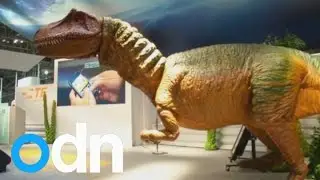 Dinosaur, human and ping pong robots at Japan's Ceatec tech show