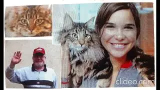 Kater Dorn - Ein Lied f&uuml;r Annika Preil