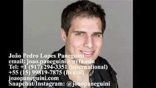 Voice acting Audio Reel Joao Paneguini - Characters