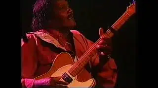 ALBERT COLLINS. THE MASTER OF THE TELECASTER. GUITAR SOLO LIVE. 1992