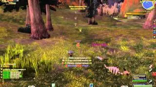 World of Warcraft Quest Guide: Проклятые/The Damned