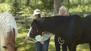 In a Car with IPR: On A Horse with Maril