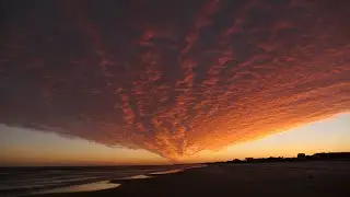 FLORIDA PANHANDLE TRIP (PART II): St. Marks and St. George Island, FL (3/9-14/2022)