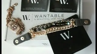 February 2015 Wantable Accessory Box Unboxing | Forty Plus 411