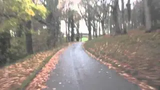 Dinmore manor driveway