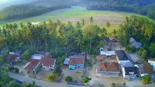 Desa trimulyo @DeddyChannel-354