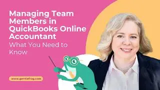 Managing Team Members in QuickBooks Online Accountant &ndash; What You Need to Know