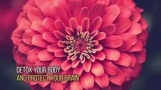 7 Days Detox Diet Plan - 7 Day Detox Red Tea That Will Make You Drop Pounds In Days | Detox