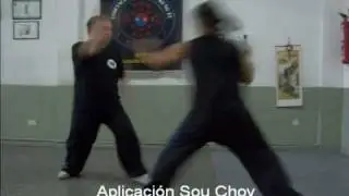 Choy Li Fat - T&eacute;cnica (4)